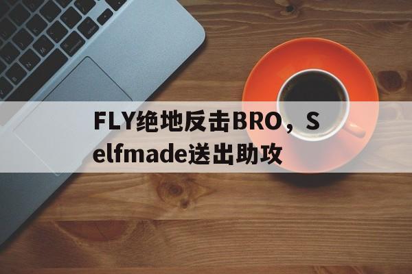 九游体育APP下载-FLY绝地反击BRO，Selfmade送出助攻