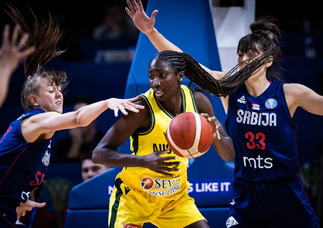 九游APP-关于法国队轻取中国队，李梓嘉关键制胜的信息